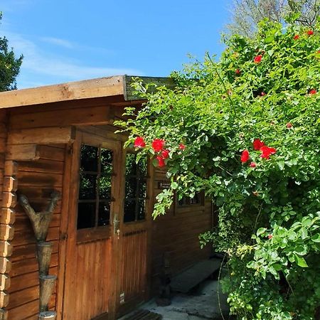 La Cabane Du Pesquier En Provence Caumont-sur-Durance Exterior photo