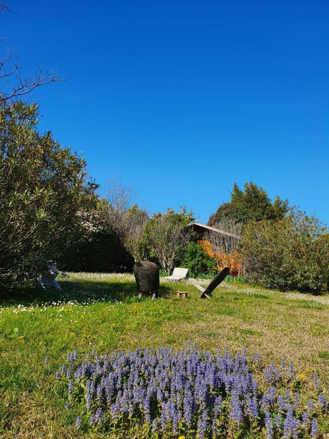 La Cabane Du Pesquier En Provence Caumont-sur-Durance Exterior photo