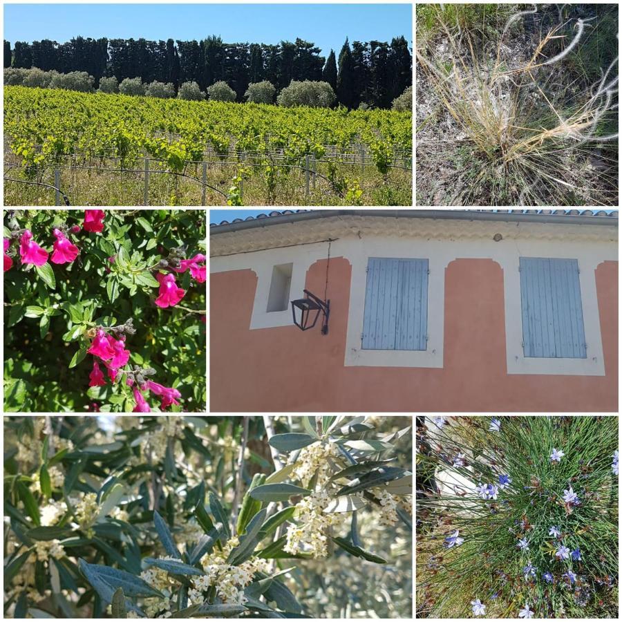 La Cabane Du Pesquier En Provence Caumont-sur-Durance Exterior photo